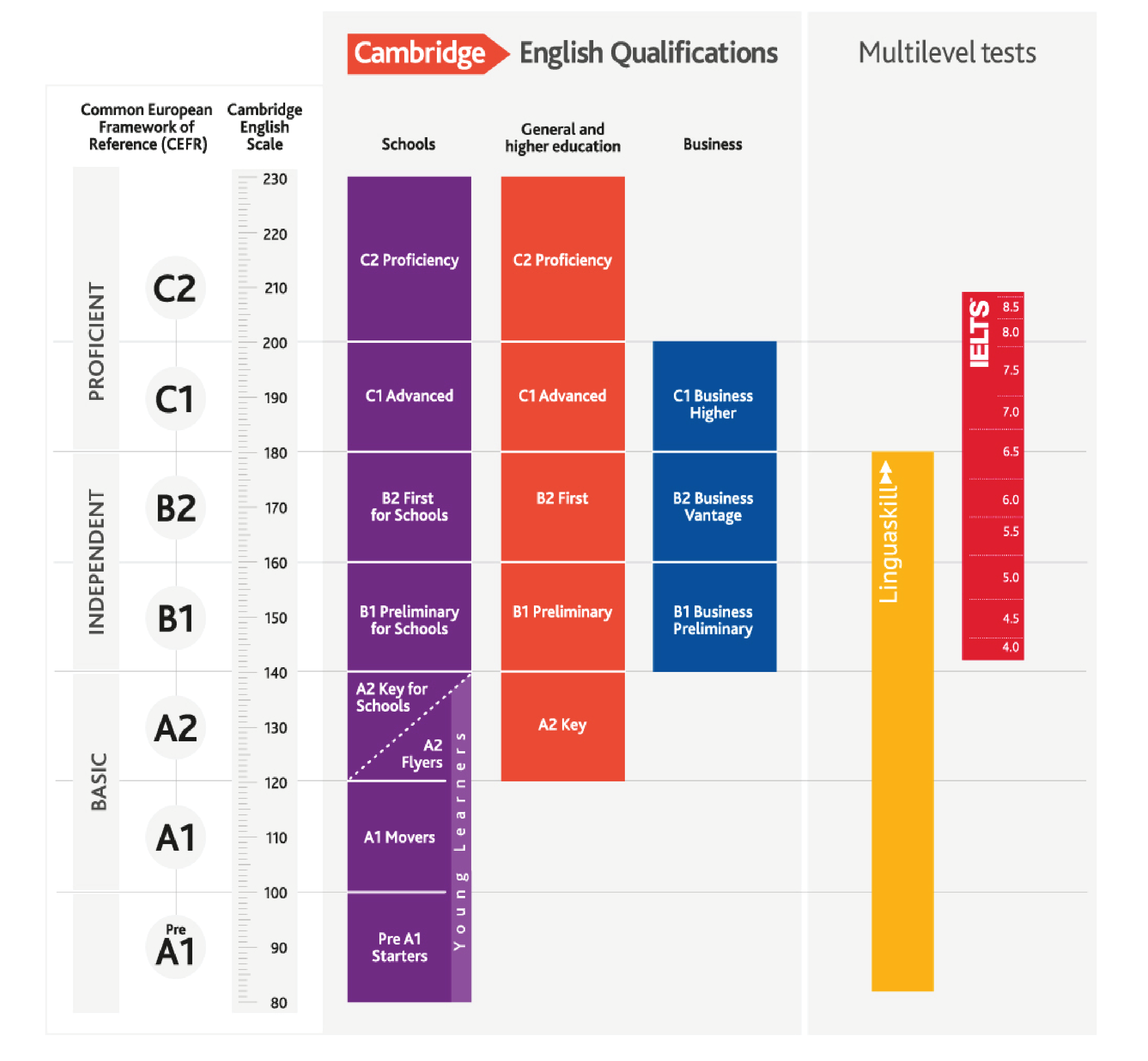 Examination performance graph